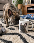 pm_slot:realfeel_mug_frenchie pm_key:pawmemory-mug-frenchie-portrait-variation-v1