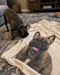 pm_slot:realfeel_blanket_frenchie pm_key:pm-20260708-blanket-single-realfeel-v2-frenchie-rug