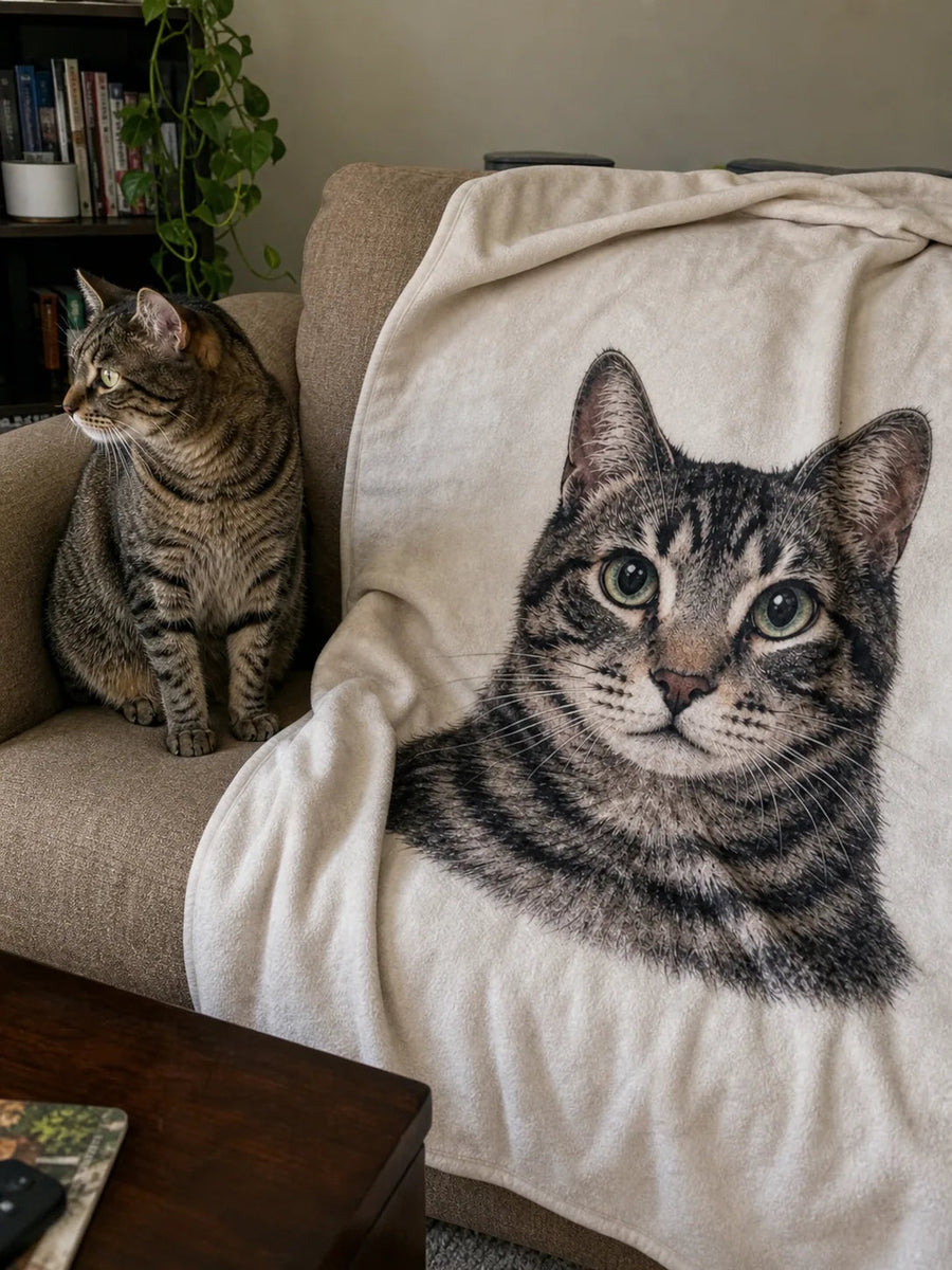pm_slot:realfeel_blanket_tabby pm_key:pm-20260708-blanket-single-realfeel-v2-tabby-sofa